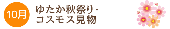 10月 ゆたか秋祭り・コスモス見物